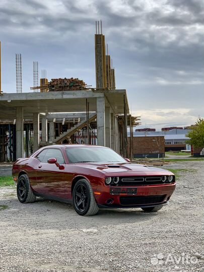 Dodge Challenger 3.6 AT, 2019, 14 500 км