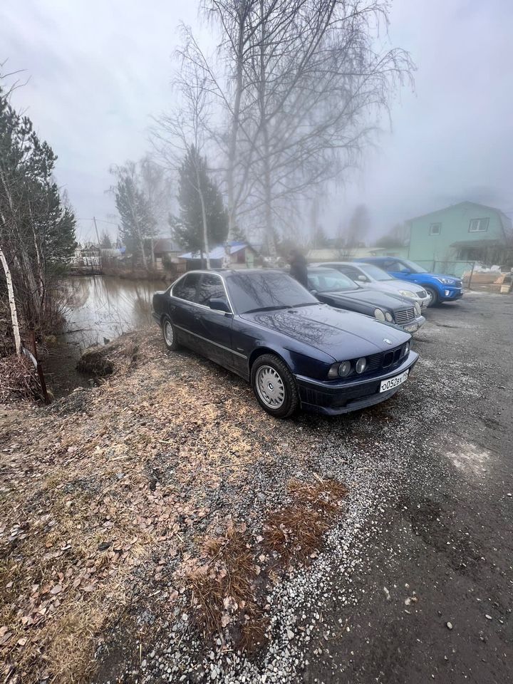 BMW 5 серия: фото владельца