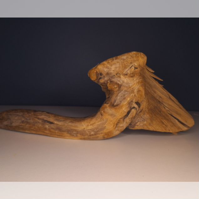 Коряга, дрифтвуд 40х14 см