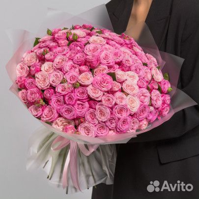 Цветы роза кустовая