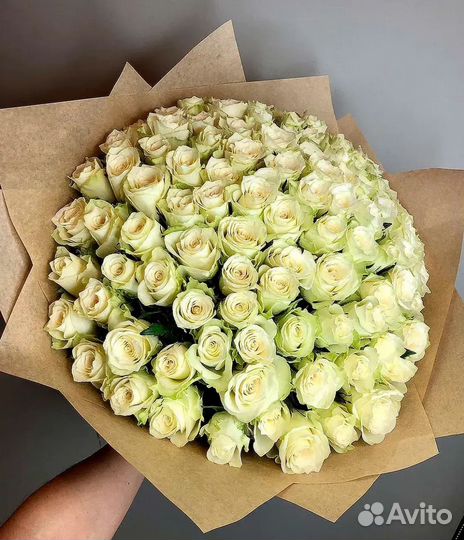 Цветы Розы 51-101