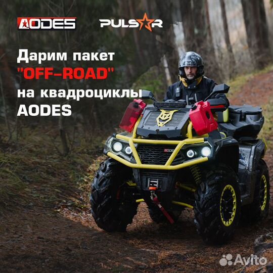 Квадроцикл Aodes Pathcross 1000L