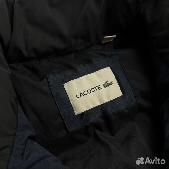 Жилет Lacoste