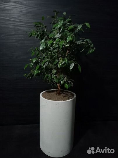 Вазоны, Горшки, Кашпо под заказ из бетона