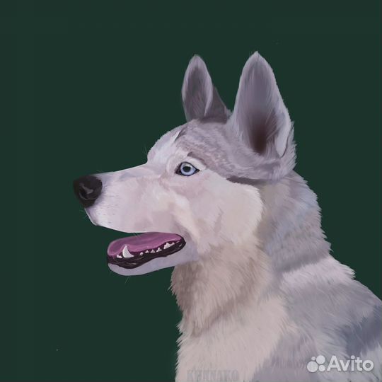 Портреты питомцев на заказ