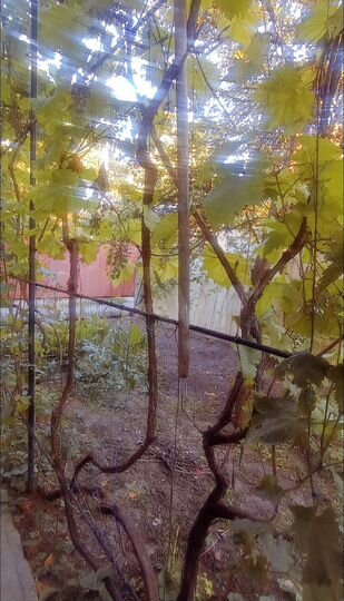 Участок 4 сот. (ИЖС)