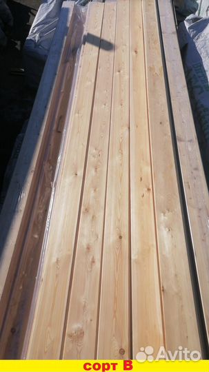 Планкен косой лиственница