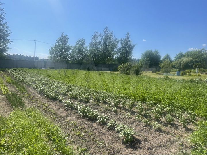 Участок 8 сот. (ИЖС)