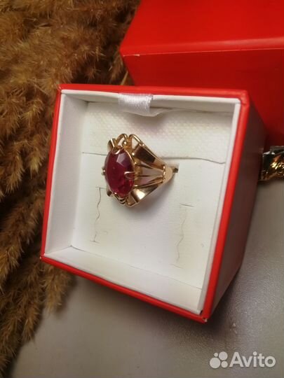 Золотое кольцо Жук - СССР 583