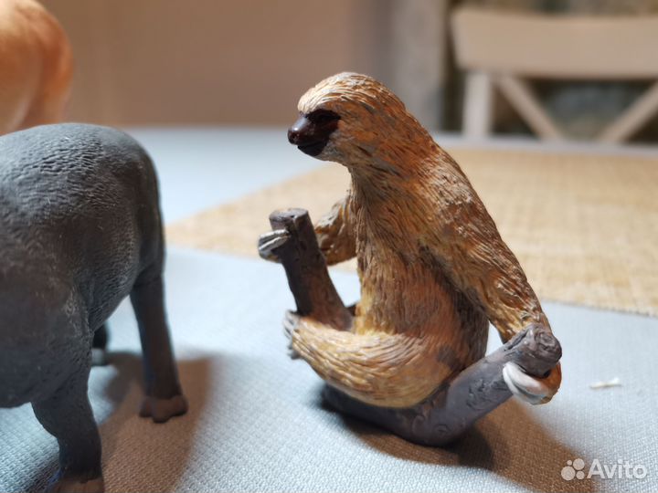 Mojo (Animal Planet): лошадь, ленивец, пума, тапир