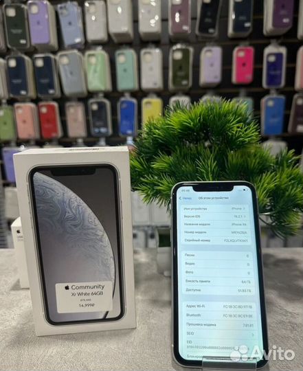 iPhone Xr, 64 ГБ