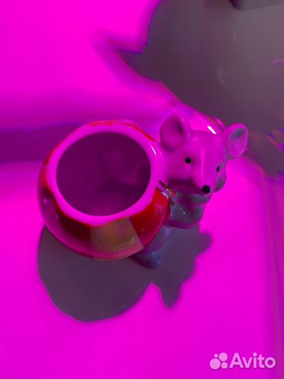 Горшинница на тарелочке Мышки