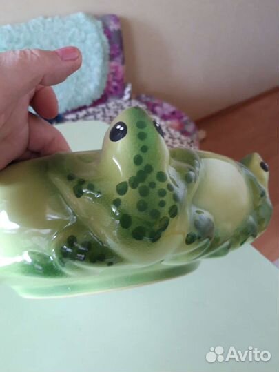 Кактусница