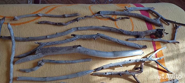 Дрифтвуд, набор для творчества. Крупный, 7