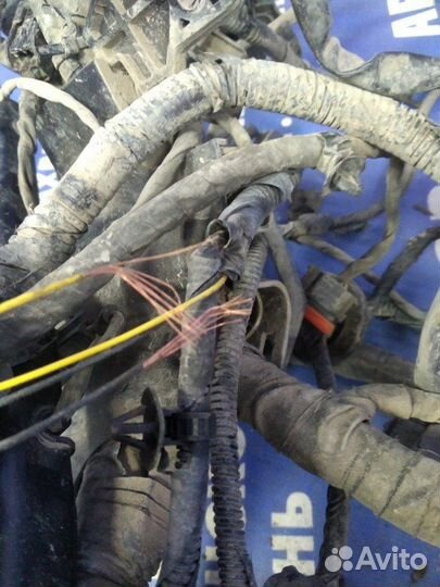 Проводка подкапотная Hyundai Solaris 1 хэтчбек