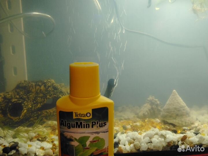 Альгумин плюс