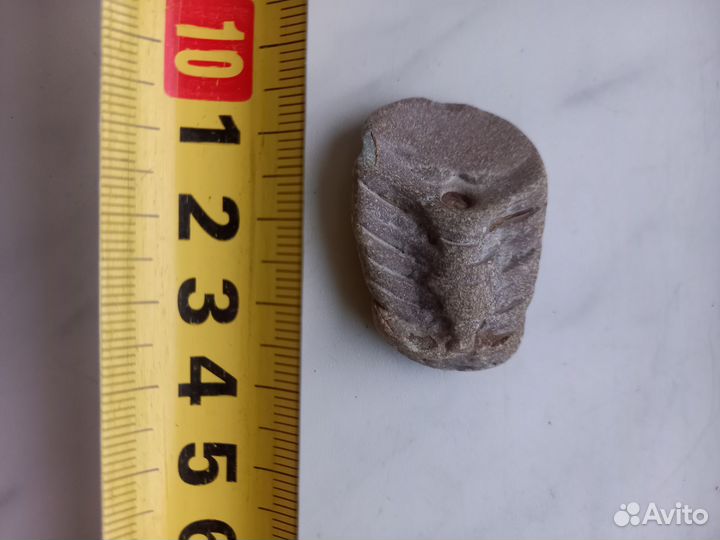 Окаменелости