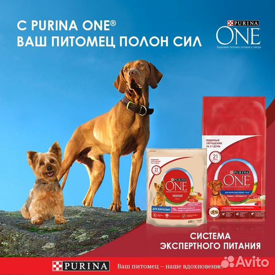 Корм purina ONE для взрослых собак мелких пород с