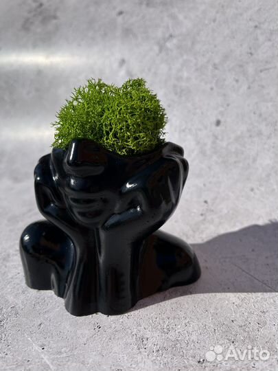 Кашпо со мхом