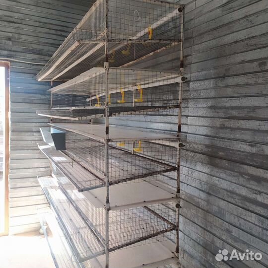 Клетки для перепелов