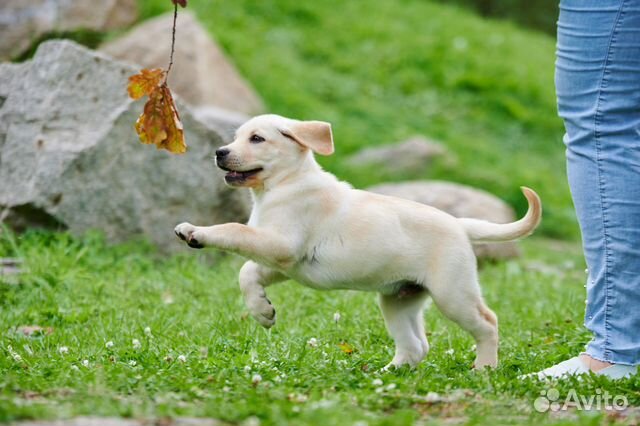 Nozik ayollarning seksual fotosuratlari