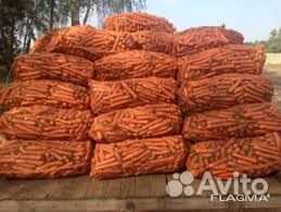 Морковь крупным оптом на магазины