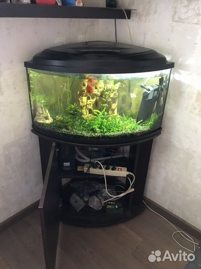 Аквариум с тумбой бу 110 литров