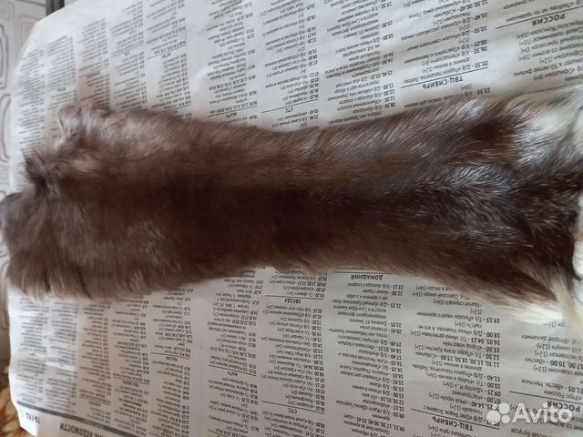 Шкурки сурка