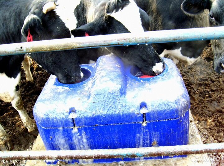 Поилки для скота