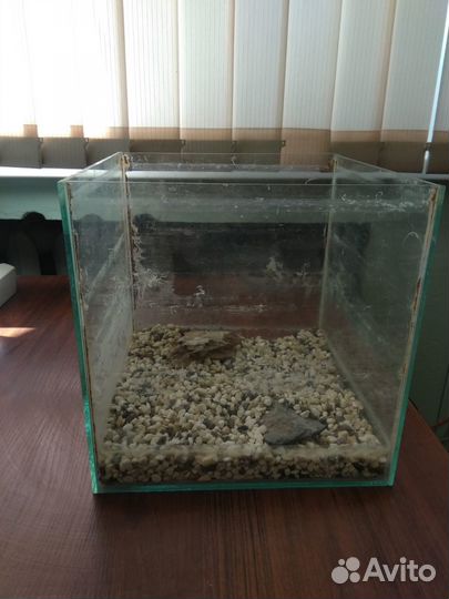Аквариум куб 20 л для креветок и мелких рыбок