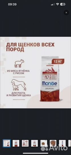 Корм для собак monge 12 кг