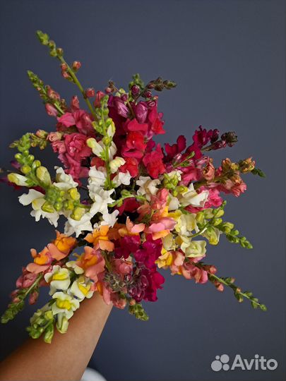 Цветы садовые букеты