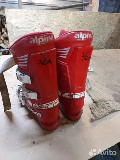 Горнолыжные ботинки