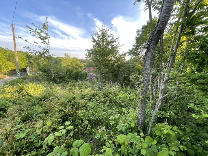 Участок 5 сот. (СНТ, ДНП)