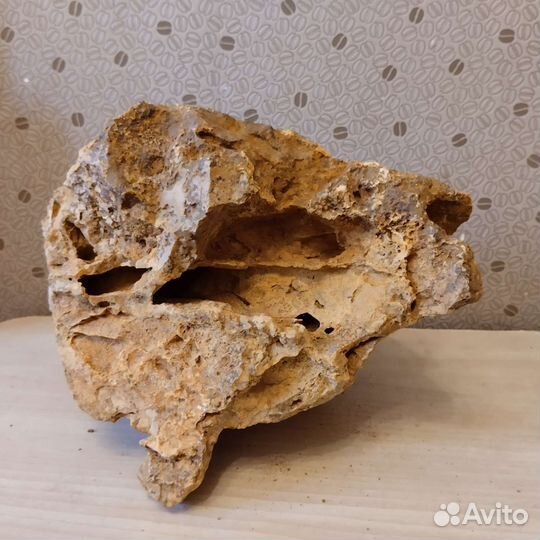 Декор для аквариума