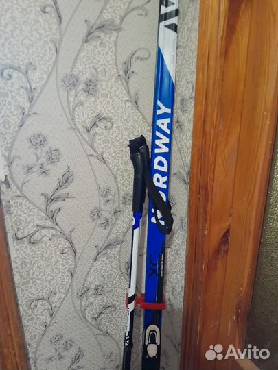 Беговые лыжи