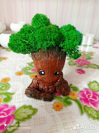 Кашпо со стабилизированным мхом 