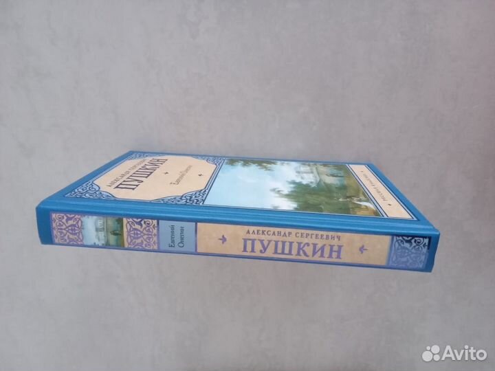 Книги Пушкин Евгений Онегин Высоцкий Стихи