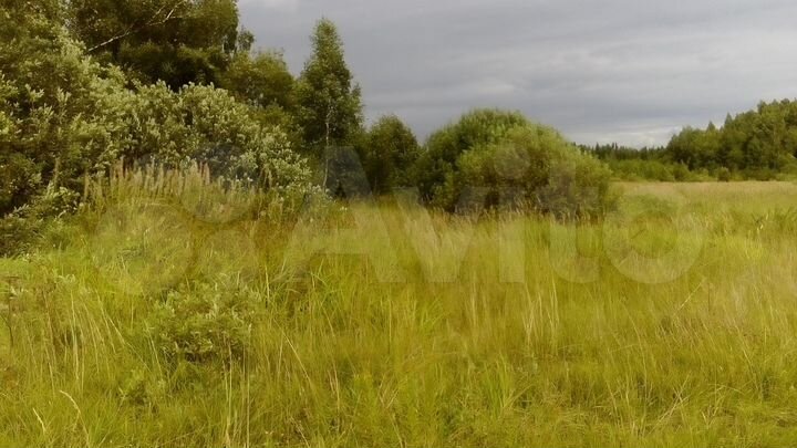 Участок 45 га (ИЖС)