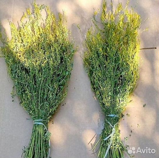 Донник трава для бани оптом со склада в Челябинске