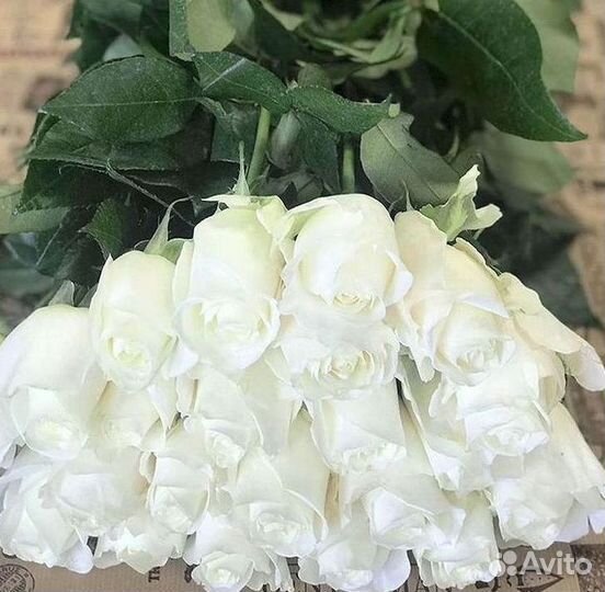 Высокие розы Букеты с доставкой