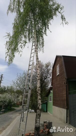 Спил деревьев.Расчистка участка.Копка котлована