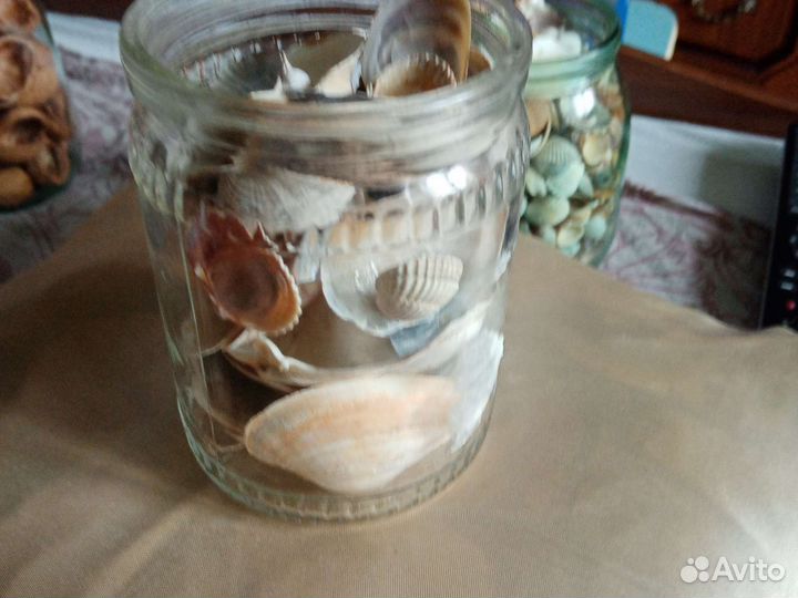 Морские ракушки раковины, камушки