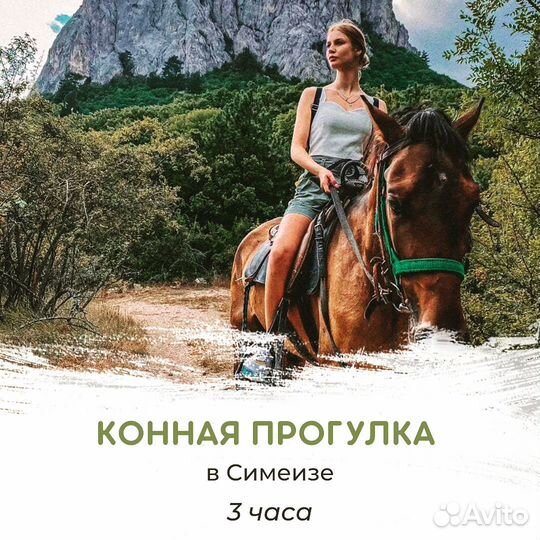 Конные прогулки в Ялте (Симеиз )