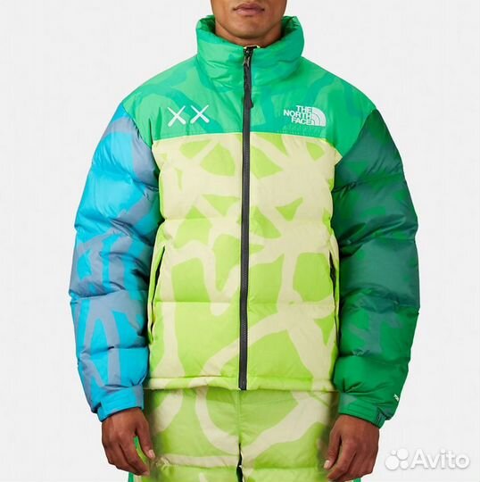 Куртка зимняя The North Face 700