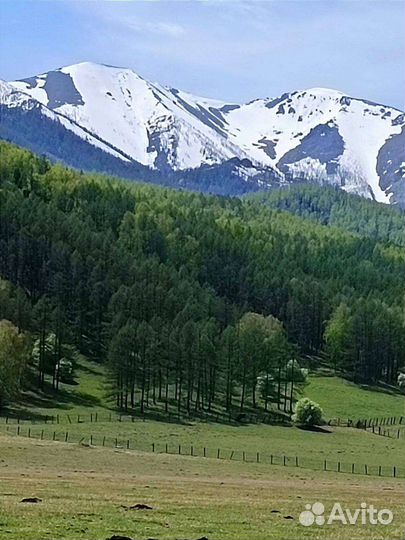 Тур на Алтай