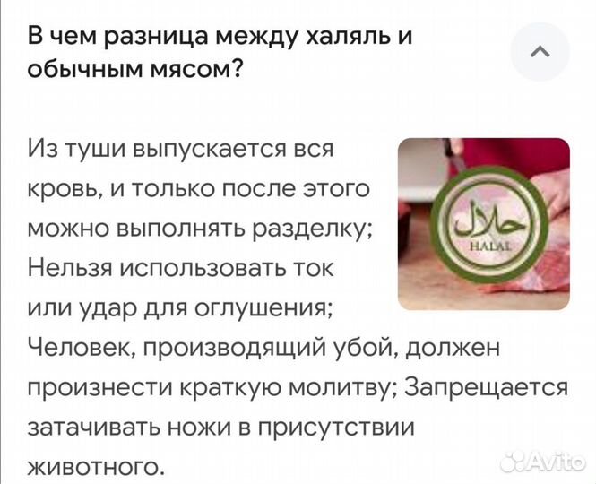 Курица домашняя (халяль)