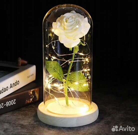 Роза в колбе, вечная роза