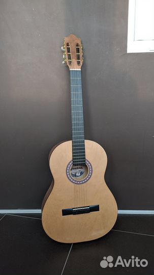 Гитара Wanderer CB2 + чехол