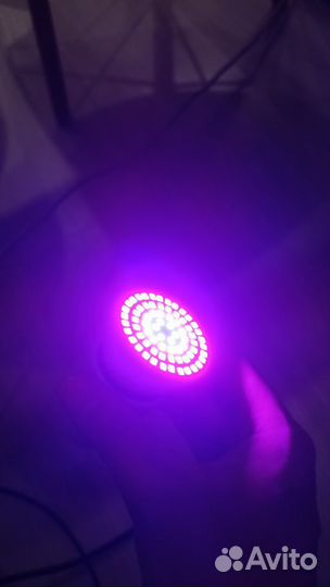 Две фитолампы для растений